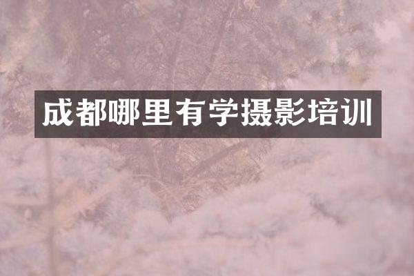 成都哪里有学摄影培训