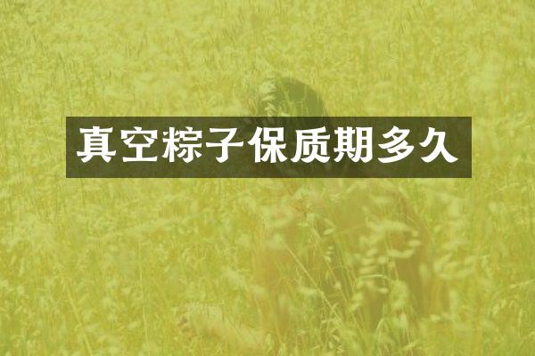 真空粽子保质期多久
