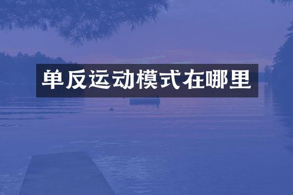 单反运动模式在哪里