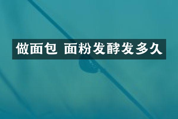 做面包 面粉发酵发多久
