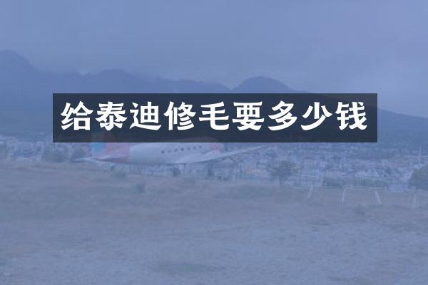 给泰迪修毛要多少钱