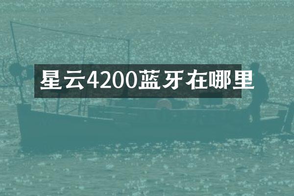 星云4200蓝牙在哪里