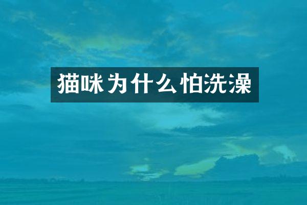 猫咪为什么怕洗澡