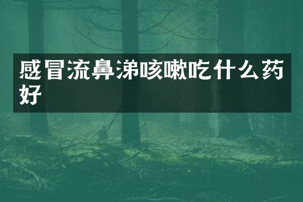 感冒流鼻涕咳嗽吃什么药好