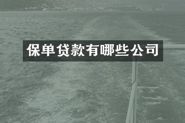 保单贷款有哪些公司