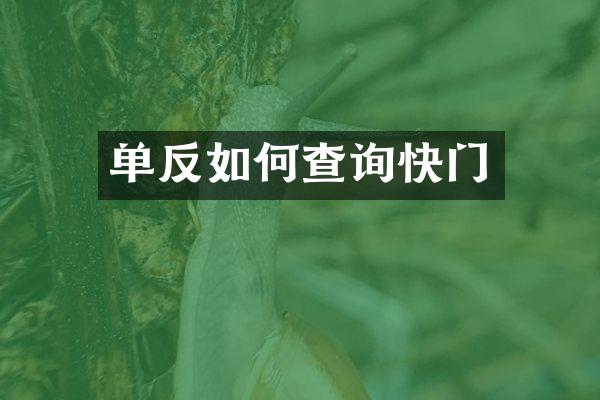 单反如何查询快门