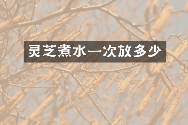 灵芝煮水一次放多少