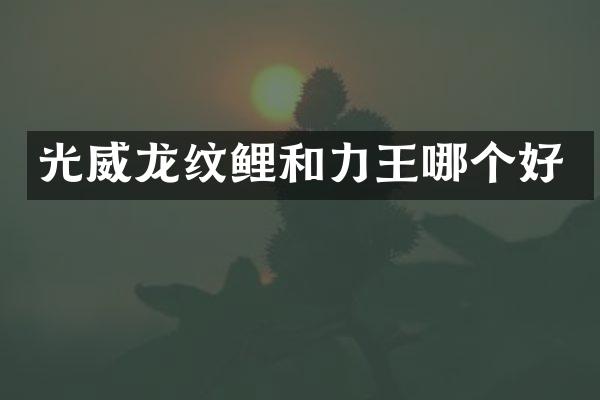光威龙纹鲤和力王哪个好