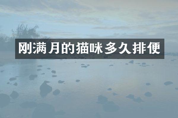 刚满月的猫咪多久排便