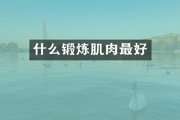 什么锻炼肌肉最好