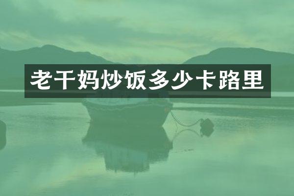 老干妈炒饭多少卡路里
