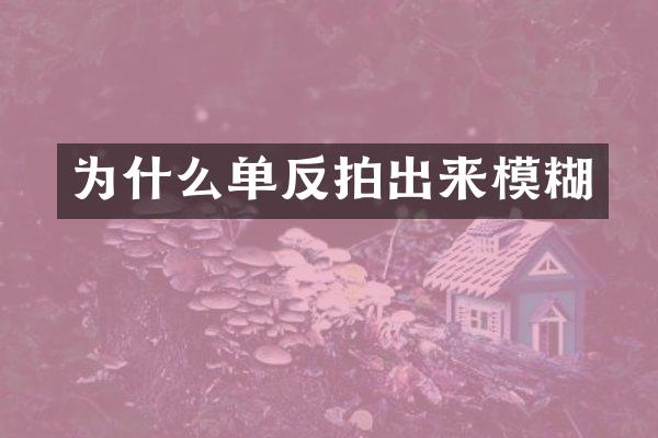 为什么单反拍出来模糊