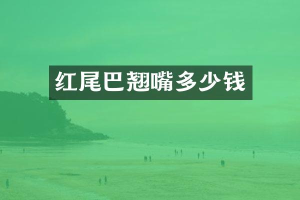 红尾巴翘嘴多少钱