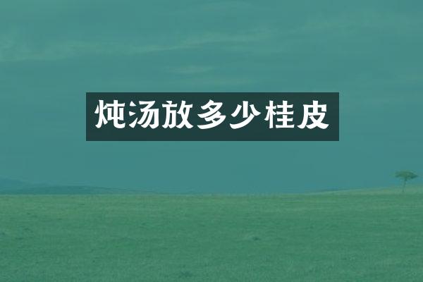炖汤放多少桂皮