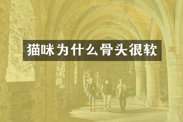 猫咪为什么骨头很软