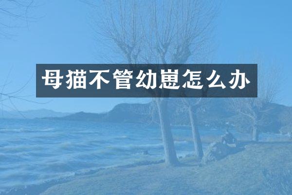 母猫不管幼崽怎么办