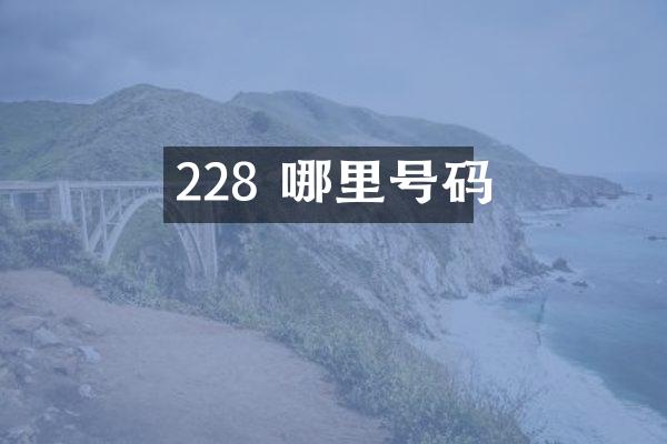 228 哪里号码