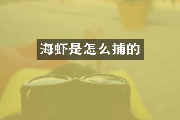 海虾是怎么捕的