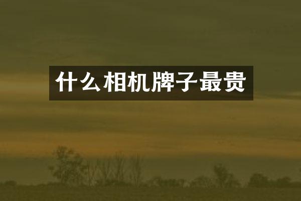 什么相机牌子最贵