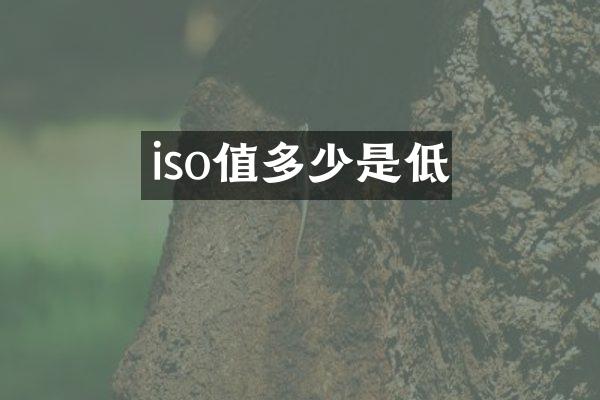 iso值多少是低