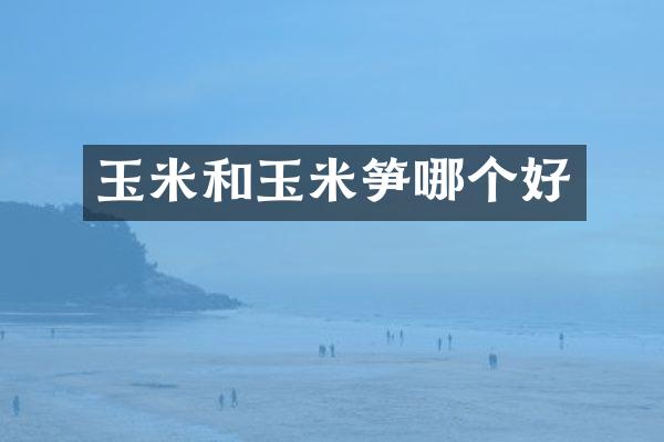 玉米和玉米笋哪个好