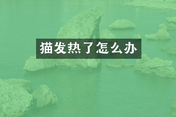 猫发热了怎么办