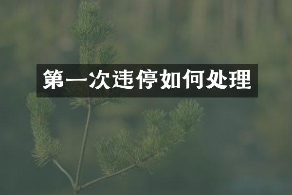 第一次违停如何处理