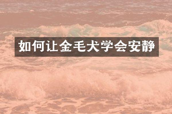 如何让金毛犬学会安静