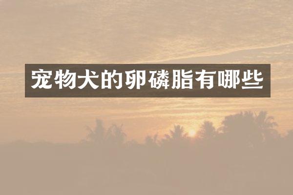 宠物犬的卵磷脂有哪些