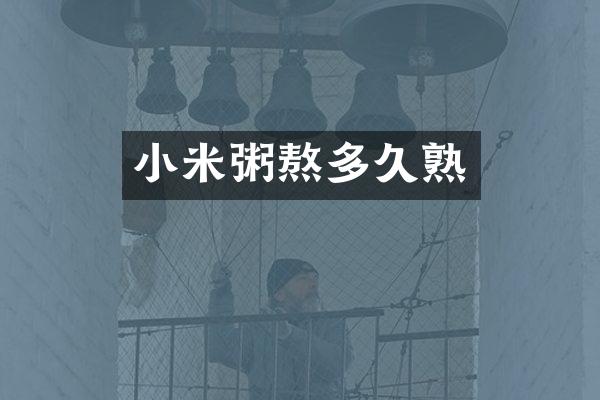 小米粥熬多久熟