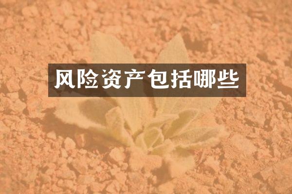 风险资产包括哪些