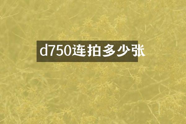 d750连拍多少张
