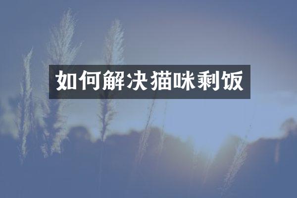 如何解决猫咪剩饭