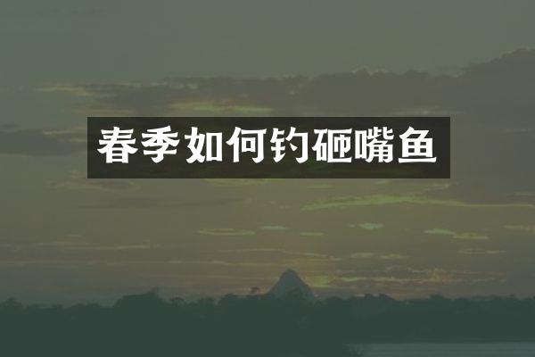 春季如何钓砸嘴鱼