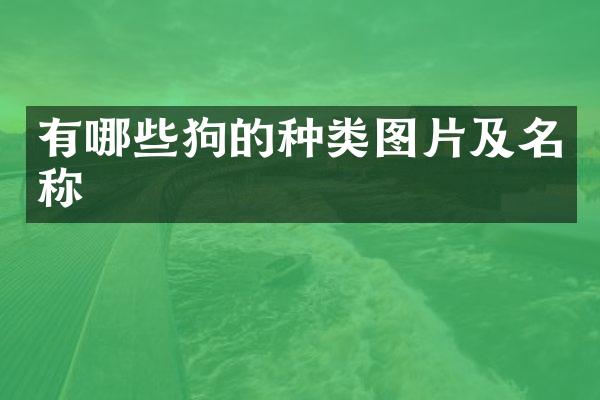 有哪些狗的种类图片及名称
