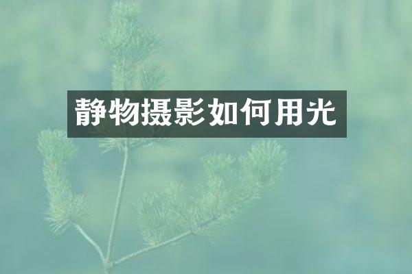 静物摄影如何用光