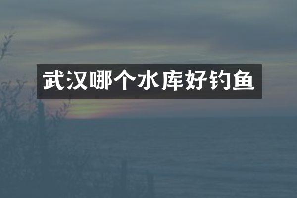 武汉哪个水库好钓鱼