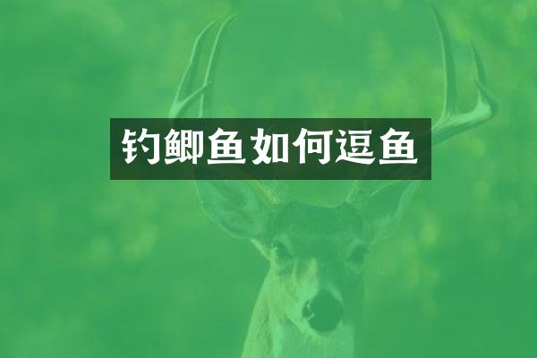 钓鲫鱼如何逗鱼