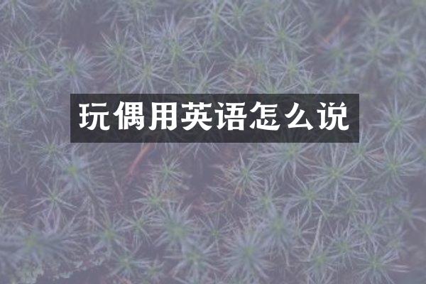 玩偶用英语怎么说