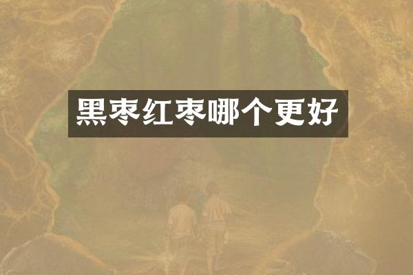 黑枣红枣哪个更好