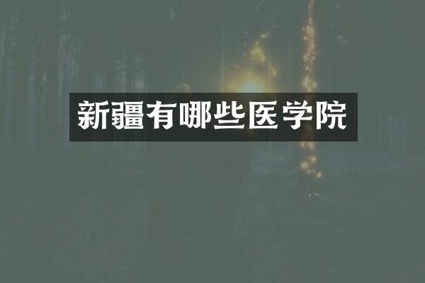 新疆有哪些医学院