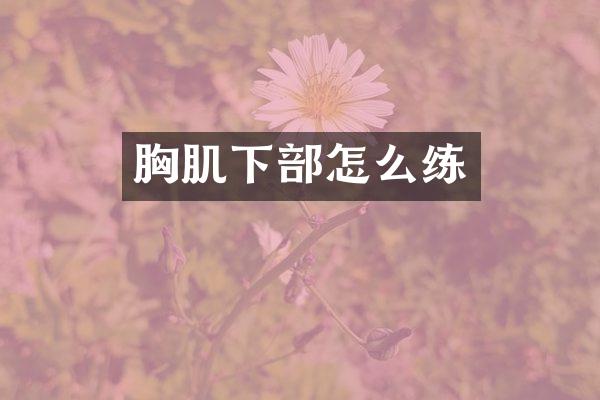 胸肌下部怎么练