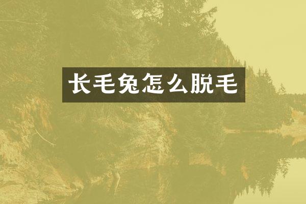 长毛兔怎么脱毛