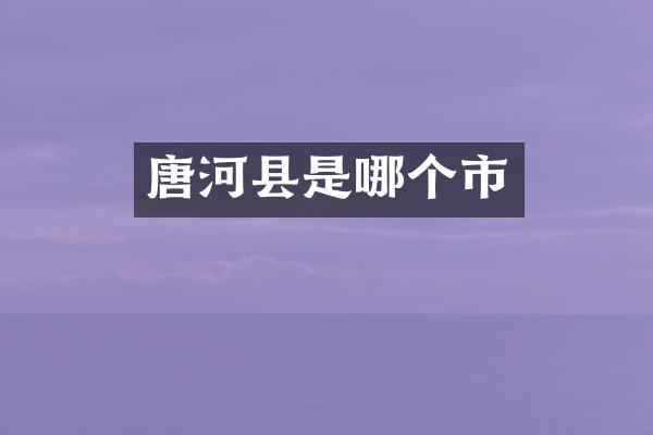 唐河县是哪个市