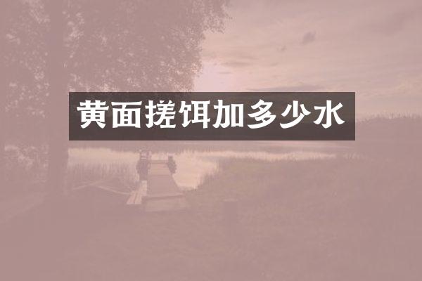 黄面搓饵加多少水
