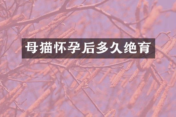 母猫怀孕后多久绝育