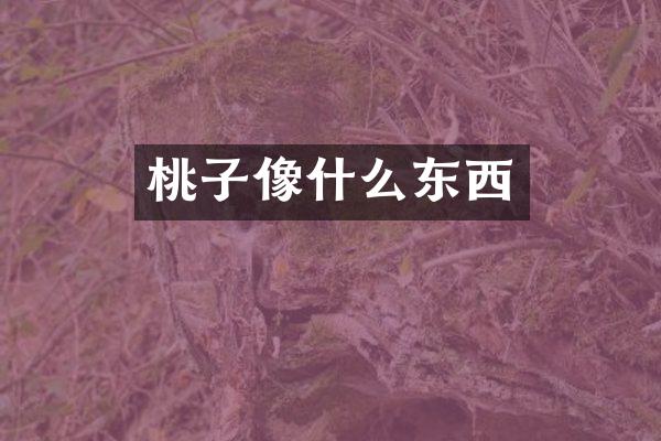 桃子像什么东西