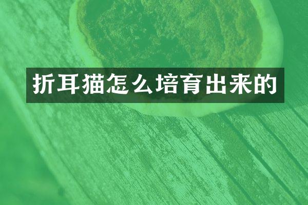 折耳猫怎么培育出来的