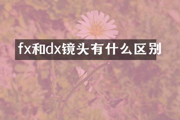 fx和dx镜头有什么区别