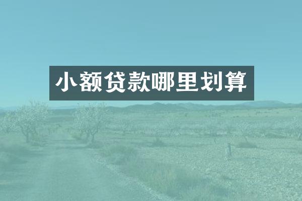 小额贷款哪里划算